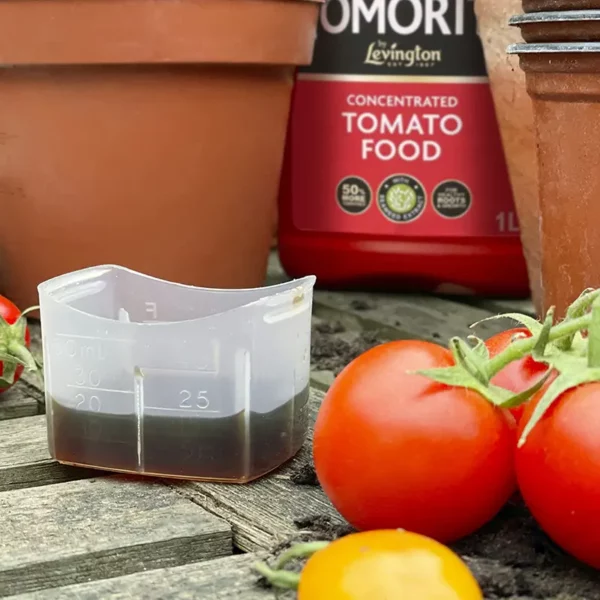 Levington Tomorite Concentrated Tomato Food sat in the measuring cap