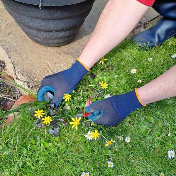 Someone wearing the Town & Country ECO-Flex Finesse Gloves to pick weeds.