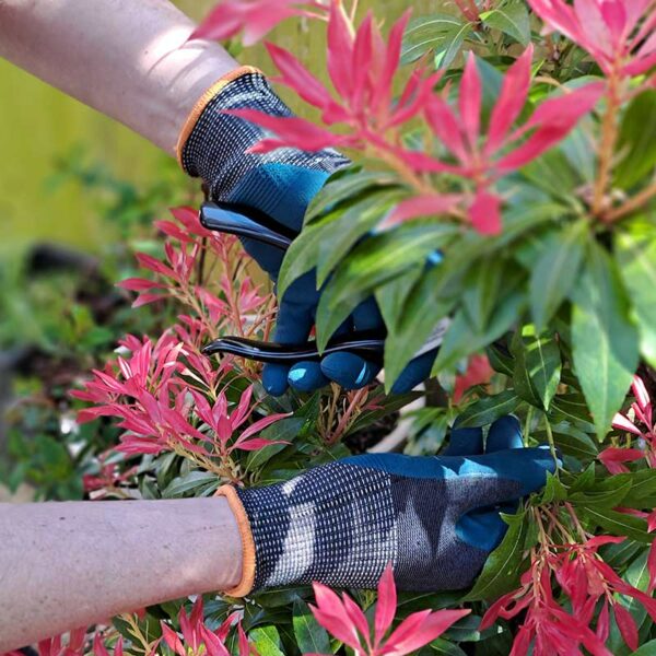 A pair of hands wearing the Town & Country ECO-Flex Ultra Gloves to prune a plant.