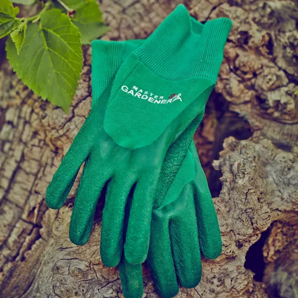 Town & Country Master Gardener Gloves green sat on log