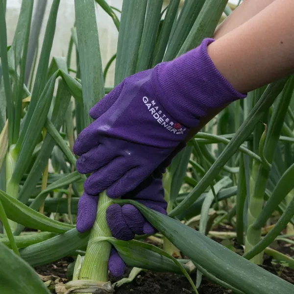 Town & Country Master Gardener Gloves purple pulling out plant