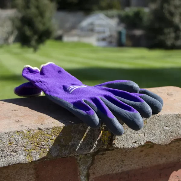 Town & Country Mastergrip Gloves purple pair on wall