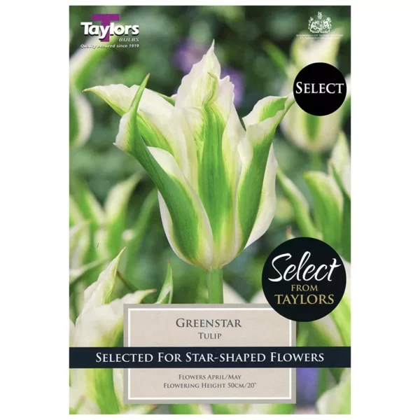Tulip 'Greenstar' (9 bulbs)
