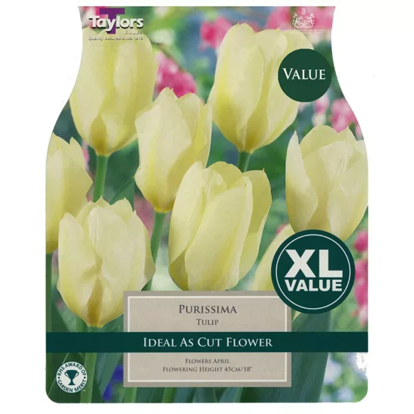 Tulip 'Purissima' (20 bulbs)