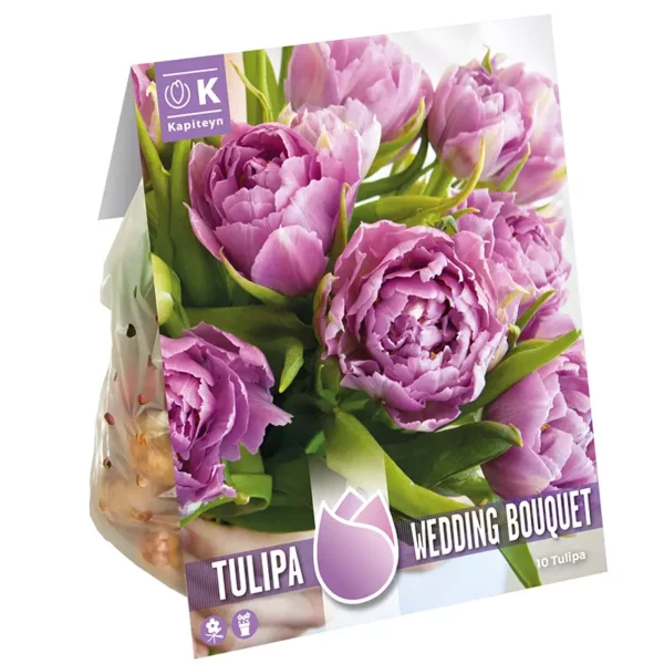 Tulip 'Wedding Bouquet' (10 bulbs)