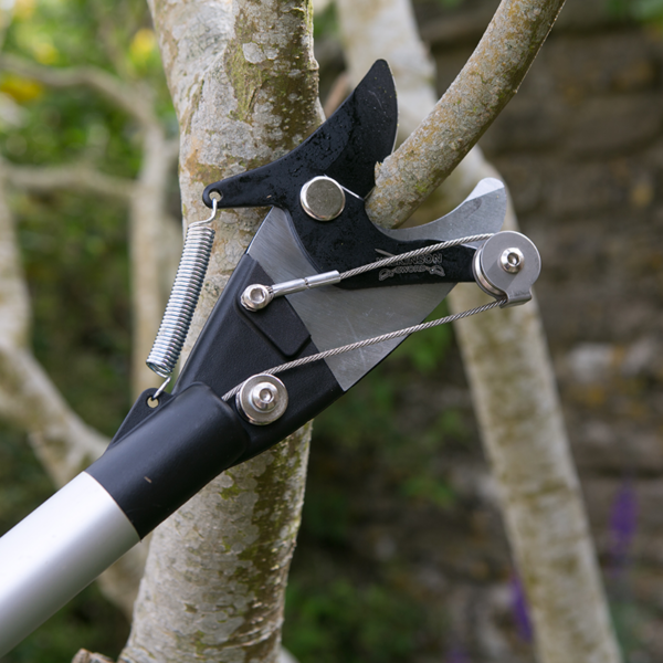 The Wilkinson Sword Ultralight Branch and Shrub Cutter blades