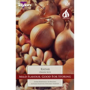 'Radar' Onion Sets