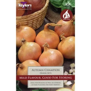 'Autumn Champion' Onion Sets