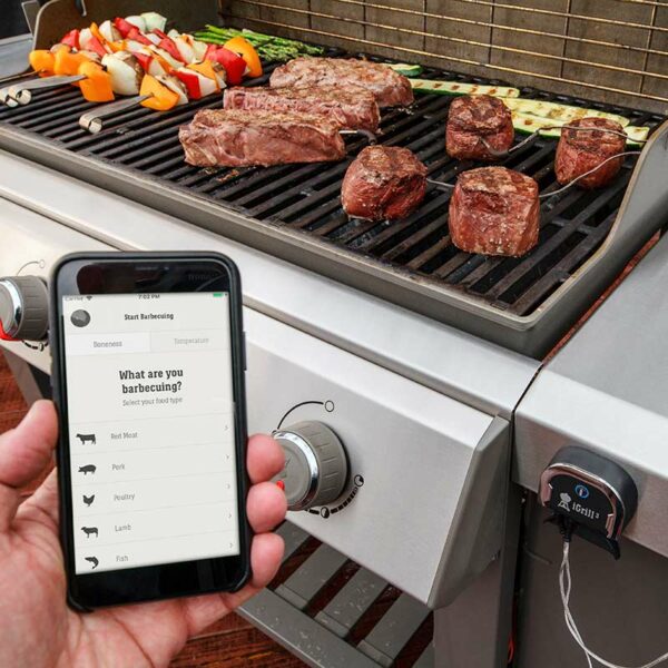 Weber igrill 3 Food Temperature Probes what's cooking