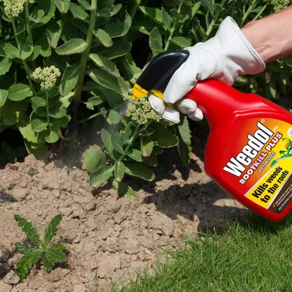 Weedol Rootkill Plus Weedkiller Spraying onto weeds in a flower bed