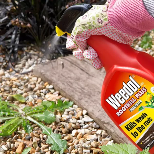 Weedol Rootkill Plus Weedkiller Spraying onto weeds in gravel