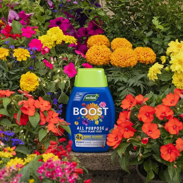 Westland Boost All Purpose Liquid Plant Food (1 litre) among flowers