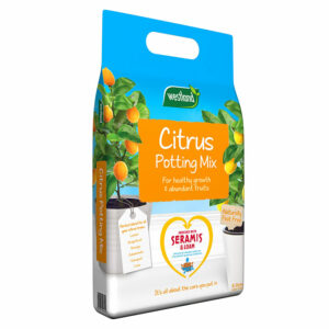 An 8 litre bag of Westland Citrus Peat Free Potting Mix. The bag has a cutout handle.