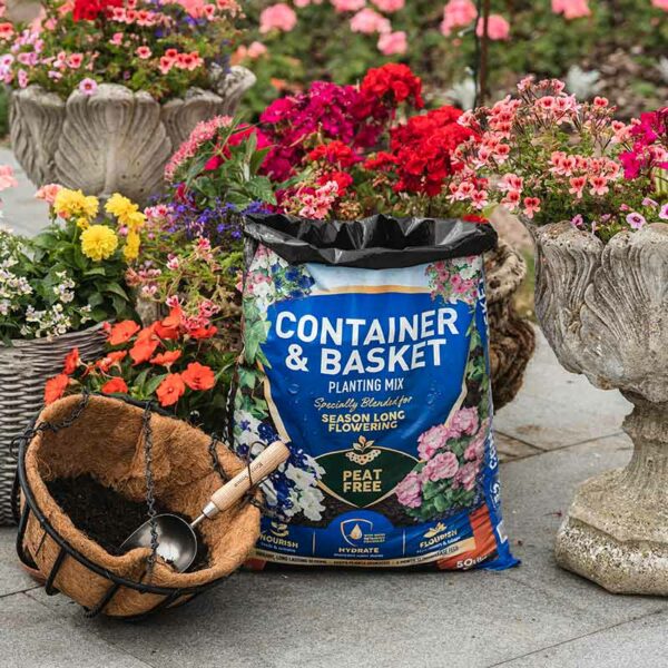 An opened bag of Westland Container & Basket Planting Peat Free Compost Mix. The bag is rolled back at the top and is next to a hanging basket with a thin layer of compost inside.