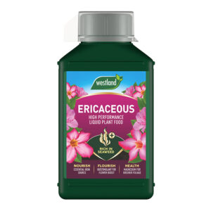 A green, 1 litre bottle of Westland Ericaceous High Performance Liquid Plant Food.