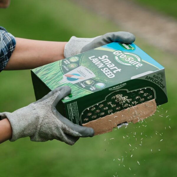 A man shaking and spraying the 1kg cardboard carton of Westland Gro-Sure Smart Lawn Seed.