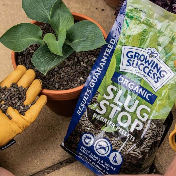 Westland Growing Success Organic Slug Stop Barrier Pellets in pot