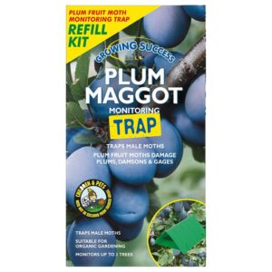 Westland Growing Success Plum Maggot Trap Refill Kit