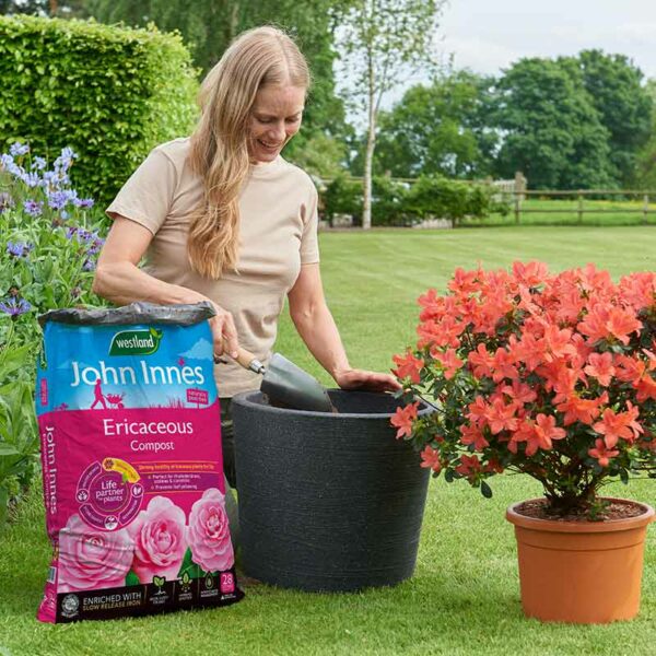 A woman kneeling on the grass moving compost from the 28 litre bag of Westland John Innes Peat Free Ericaceous Compost into a black pot.