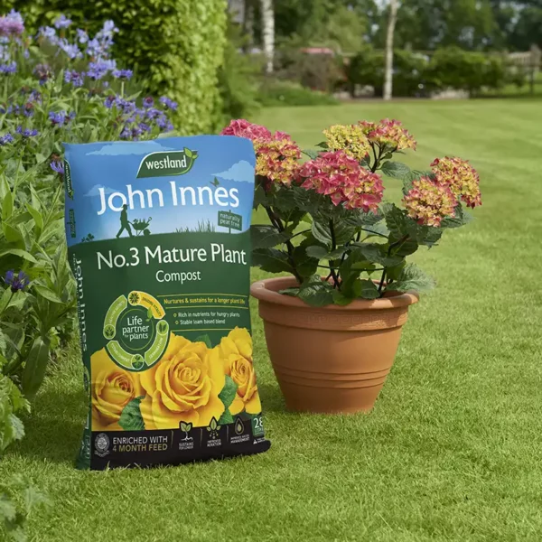 Westland John Innes Peat Free No.3 Mature Plant Compost (28 litres) on grass