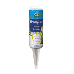 The 40ml Westland Liquid Droplet Feeder for Houseplants. The feeder consists of a cylindrical reservoir with a funnel at the bottom that plants into the soil.