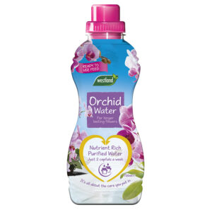 A 720ml, hourglass-shaped bottle of Westland Orchid Water.
