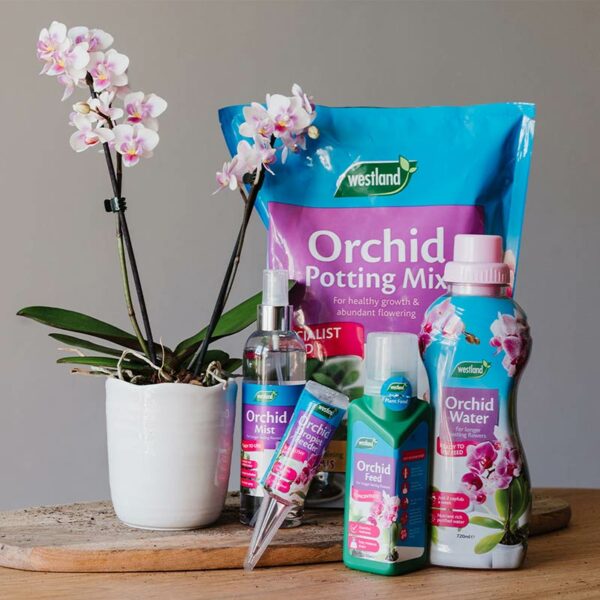 A collection of westland orchid products, arranged next to a white a pink orchid.