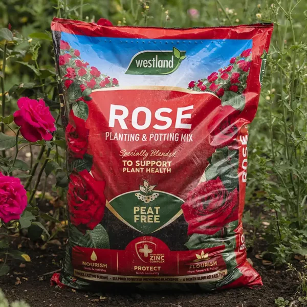 Westland Rose Planting & Potting Peat Free Mix (50 litres) situ