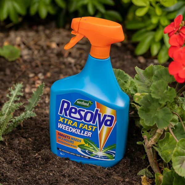 A blue, 1 litre, ready-to-use spray bottle of Westland Resolva Xtra Fast Weedkiller sat on soil.