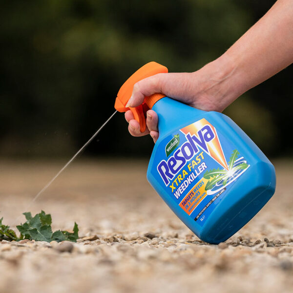 A blue, 1 litre, ready-to-use spray bottle of Westland Resolva Xtra Fast Weedkiller spraying onto a weed.