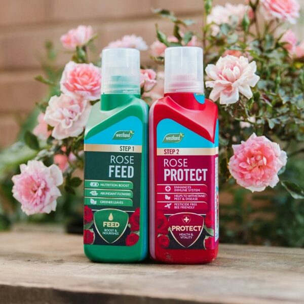 The two Westland Rose Feed & Rose Protect bottles stood against each other outside.