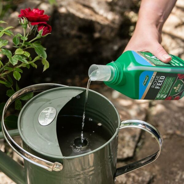 Westland Rose Feed being poured from the easy squeeze cap into a watering can.