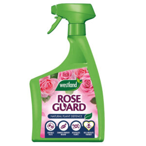 Westland rose guard studio image