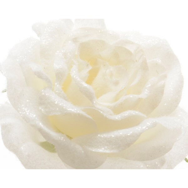 Everands Blush White Rose Stem (45cm)