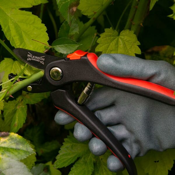 A pair of Wilkinson Sword Anvil Pruning Secateurs cutting through a green branch.
