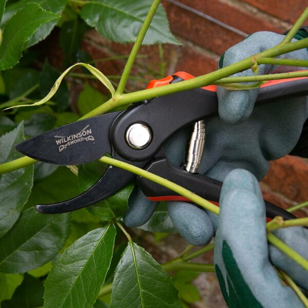 A pair of black and red Wilkinson Sword Bypass Pruning Secateurs cutting through a thin green stem.
