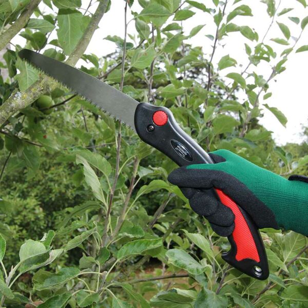 A hand holding the Wilkinson Sword Folding Saw up to a branch.