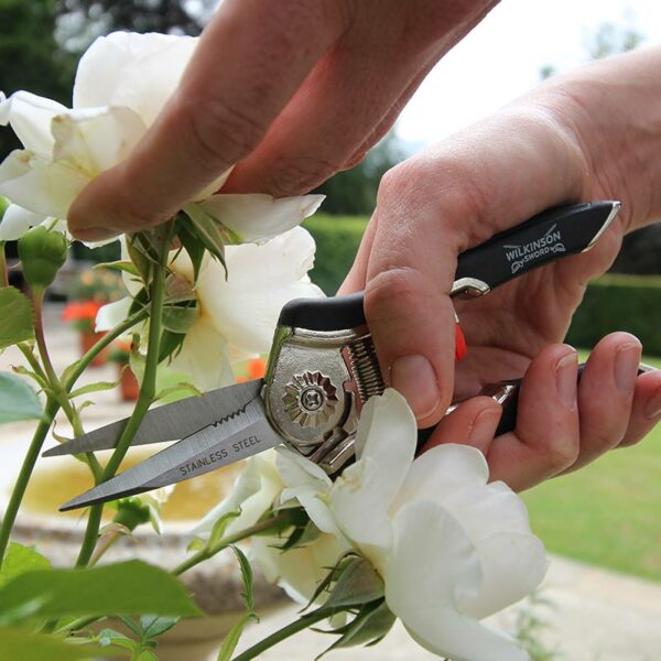 Someone cutting a white flower with the Wilkinson Sword Precision Snips.