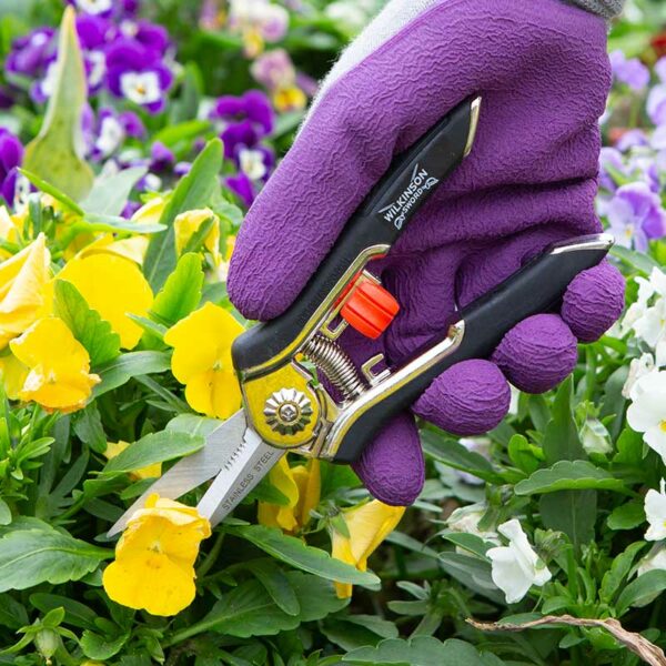 Someone cutting a yellow flower with the Wilkinson Sword Precision Snips.