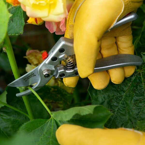 A pair of Wilkinson Sword Razorcut Comfort Bypass Pruning Secateurs cutting through a small leaved stem.