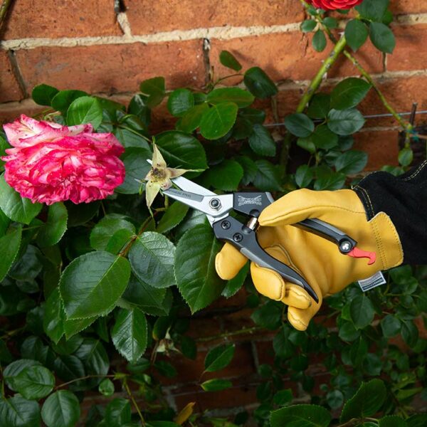 A pair of Wilkinson Sword Straight Pruning Snips deadheading a flower.