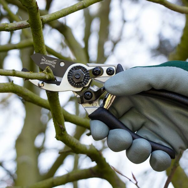 A pair of Wilkinson Sword Ultralight Anvil Pruners cutting through a woody branch.