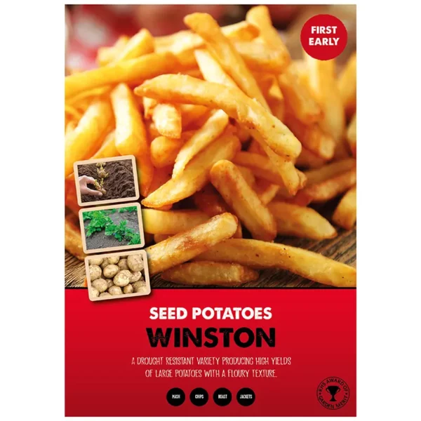 Winston First Early Seed Potatoes 2kg