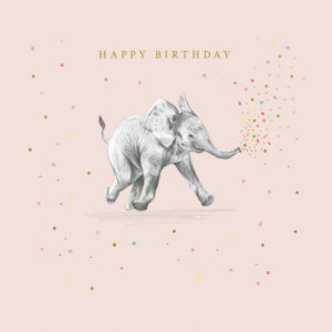 Woodmansterne Elephant Confetti Birthday Card