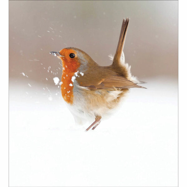 Woodmansterne Charity Christmas Cards - The Magic of Winter (Pack of 5)