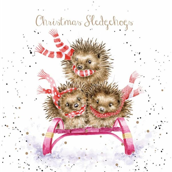 Wrendale Designs Boxed Cards - Sledgehogs (Pack of 8)