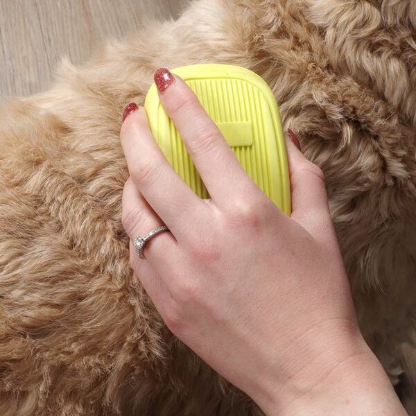 Zoon De-Tangler being used on dog top view