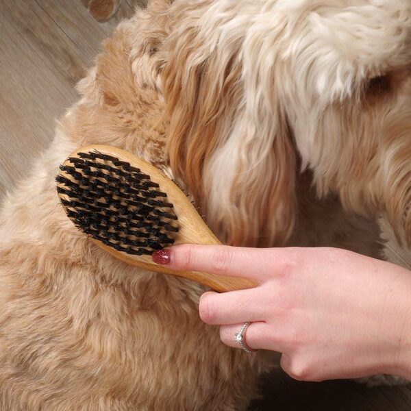 Zoon Double Sided Brush in use on dog