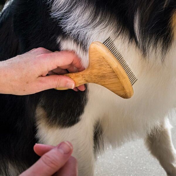 Zoon Fine Tooth Rotating Rake in use on dog