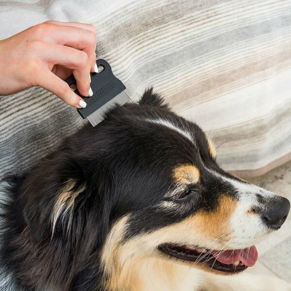 Zoon Flea Comb in use on dog